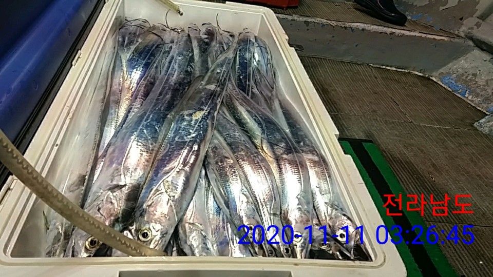 낚시뚜,갈치,국동항,여수 비너스호,낚시뚜12
