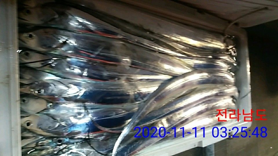 낚시뚜,갈치,국동항,여수 비너스호,낚시뚜11