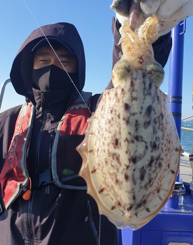 낚시뚜,갑오징어,국동항,여수서울낚시,낚시뚜2
