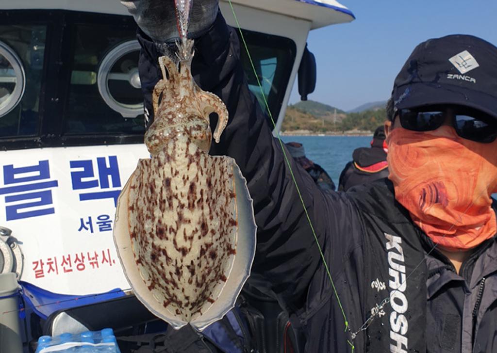낚시뚜,갑오징어,국동항,여수서울낚시,낚시뚜2