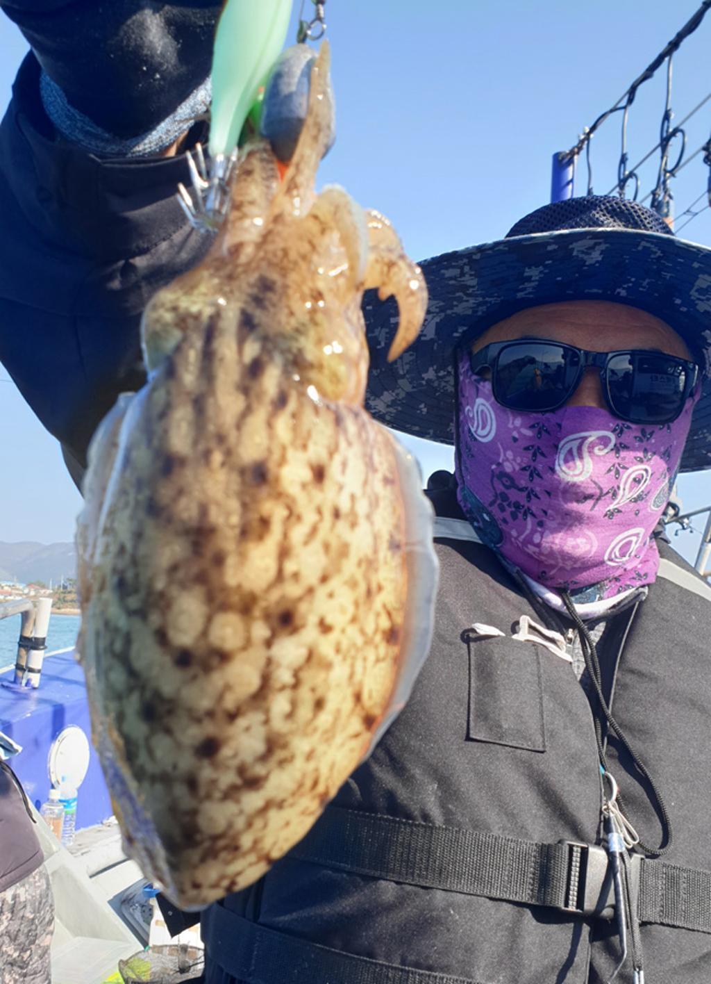 낚시뚜,갑오징어,국동항,여수서울낚시,낚시뚜3