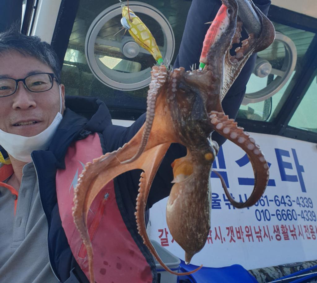 낚시뚜,갑오징어,국동항,여수서울낚시,낚시뚜6