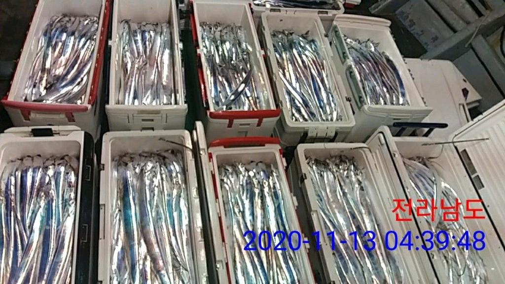 낚시뚜,갈치,국동항,여수 비너스호,낚시뚜34