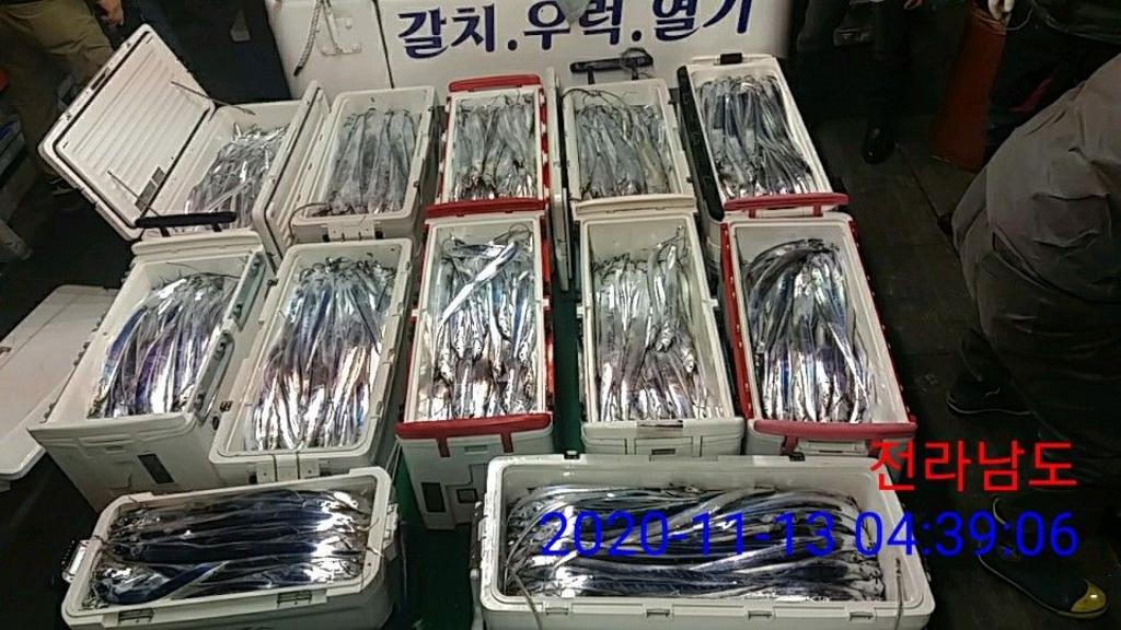 낚시뚜,갈치,국동항,여수 비너스호,낚시뚜26