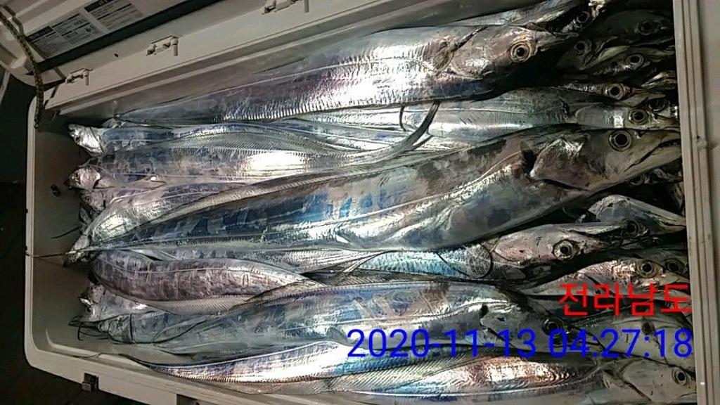 낚시뚜,갈치,국동항,여수 비너스호,낚시뚜18