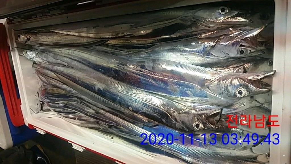 낚시뚜,갈치,국동항,여수 비너스호,낚시뚜17