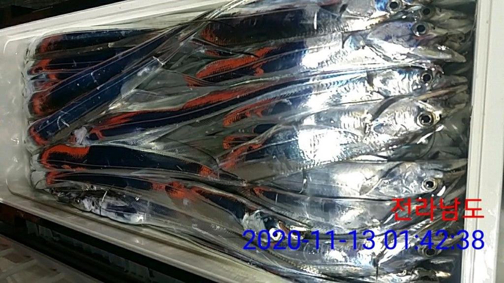 낚시뚜,갈치,국동항,여수 비너스호,낚시뚜9