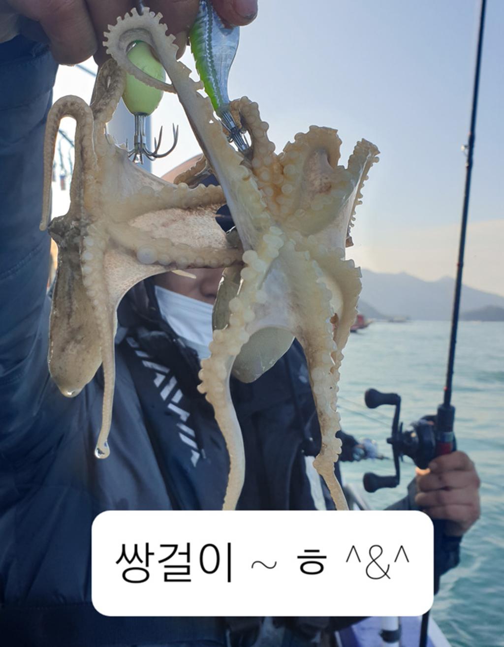 낚시뚜,쭈꾸미,국동항,여수서울낚시,낚시뚜1