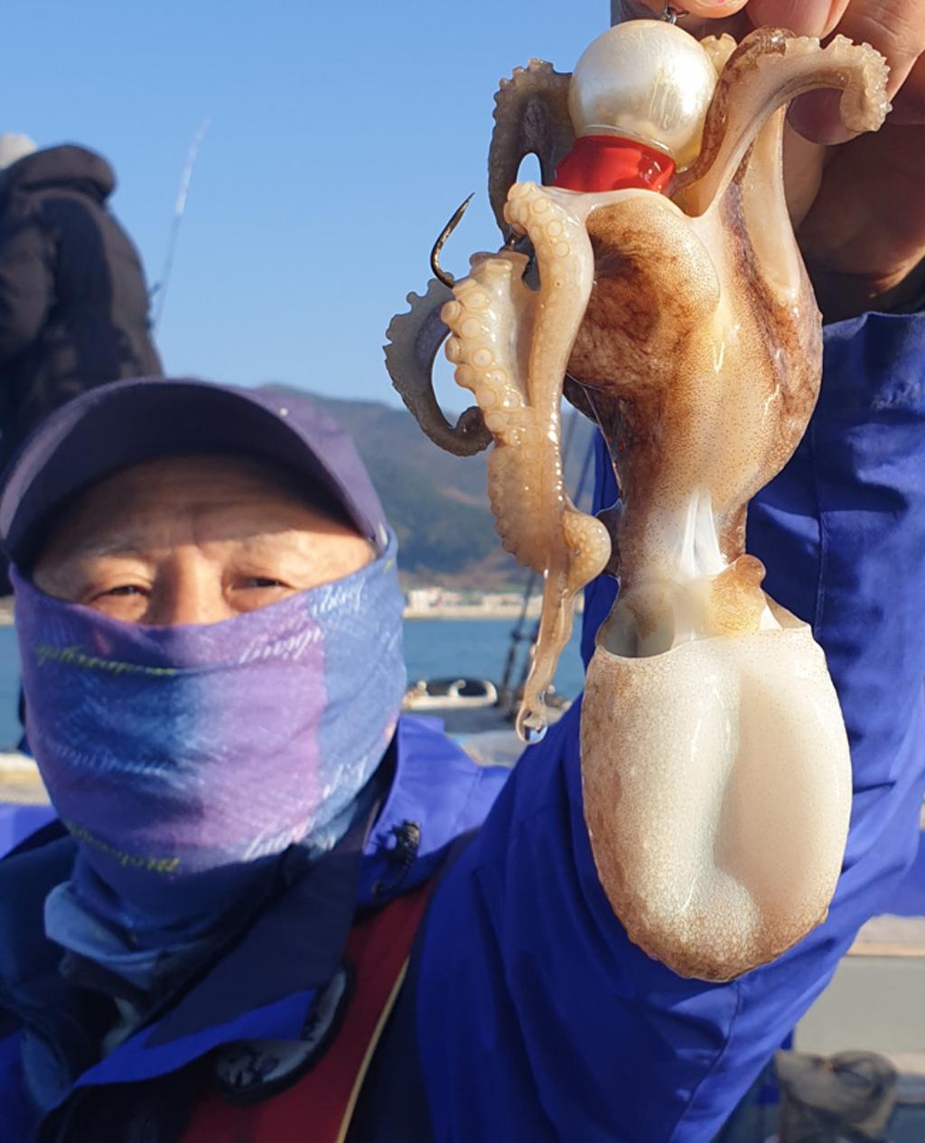 낚시뚜,쭈꾸미,국동항,여수서울낚시,낚시뚜2