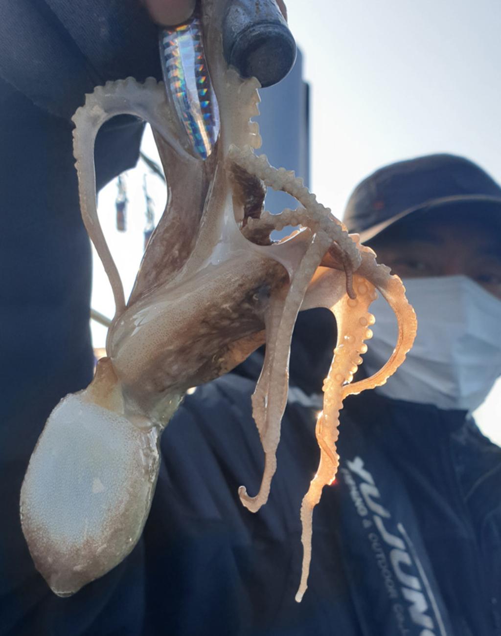 낚시뚜,쭈꾸미,국동항,여수서울낚시,낚시뚜4