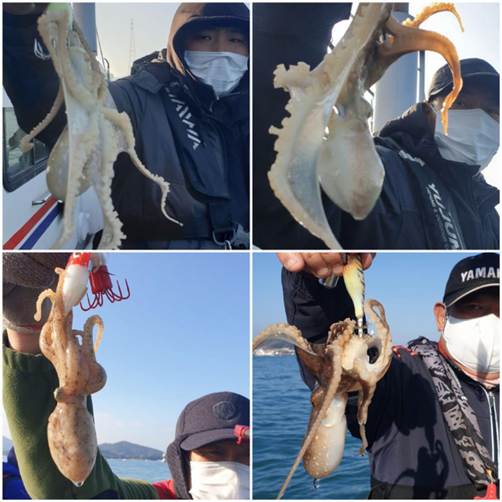 낚시뚜,쭈꾸미,국동항,여수서울낚시,낚시뚜5