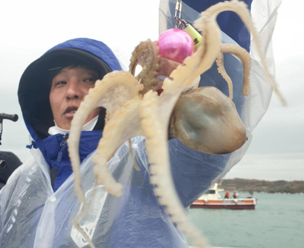낚시뚜,쭈꾸미,국동항,여수서울낚시,낚시뚜3