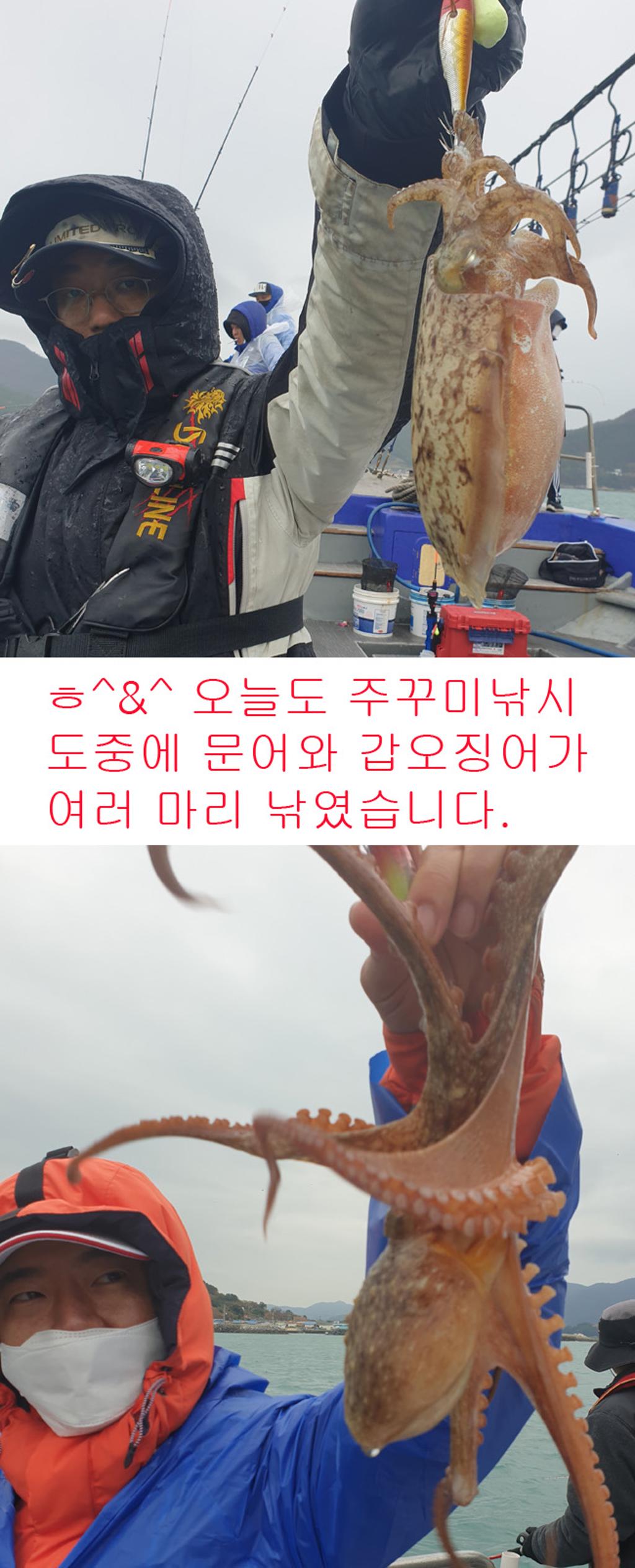 낚시뚜,쭈꾸미,국동항,여수서울낚시,낚시뚜6