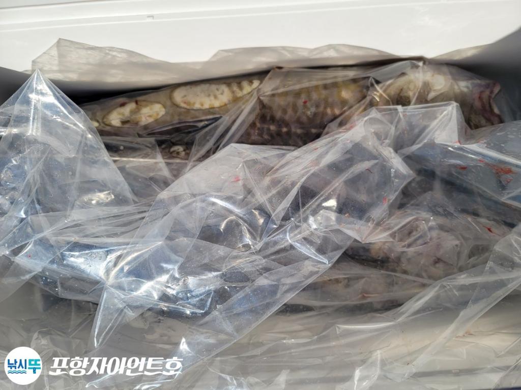 낚시뚜,대구,포항 발산항,포항자이언트호,낚시뚜13