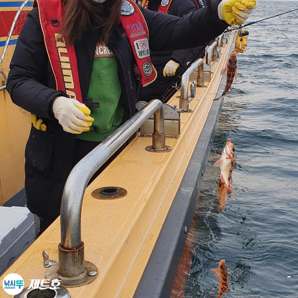 낚시뚜,볼락,열기,영일만항,포항 제트호,낚시뚜12