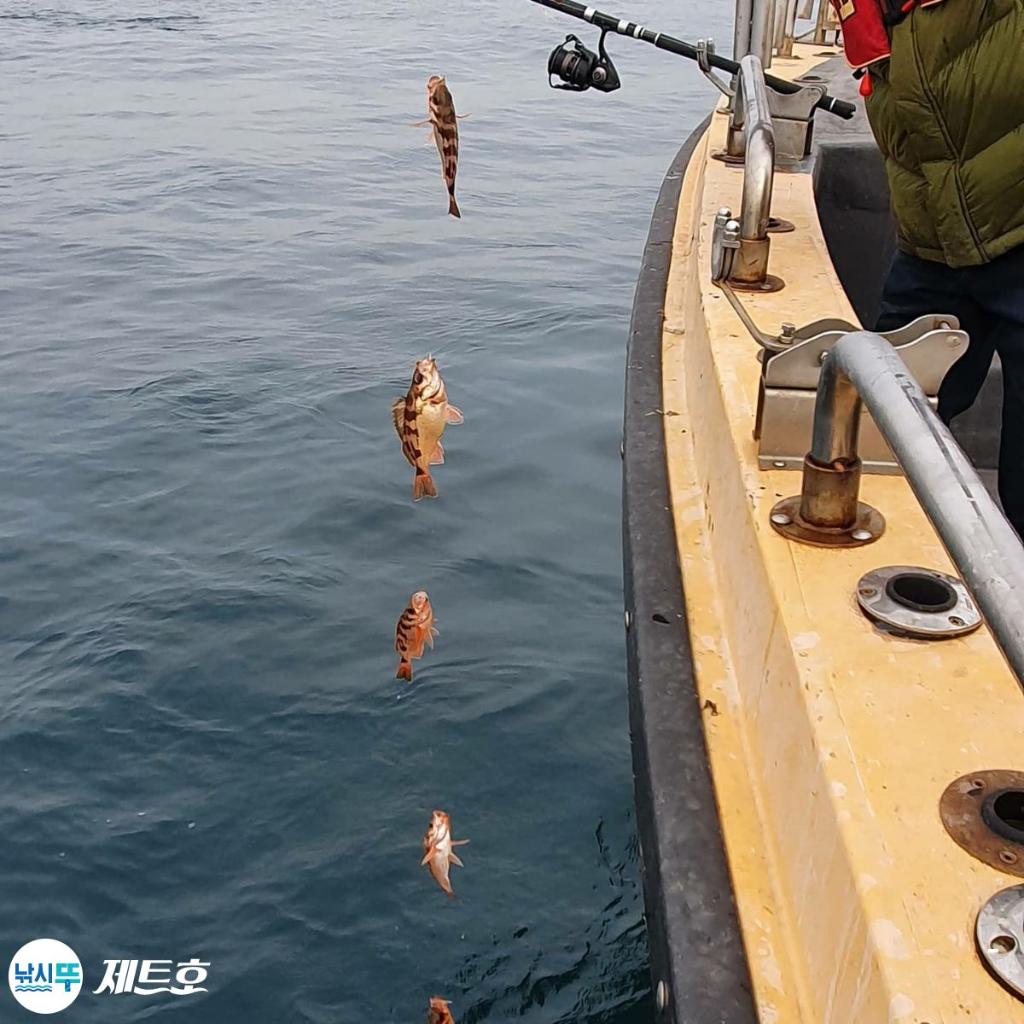 낚시뚜,볼락,열기,영일만항,포항 제트호,낚시뚜9