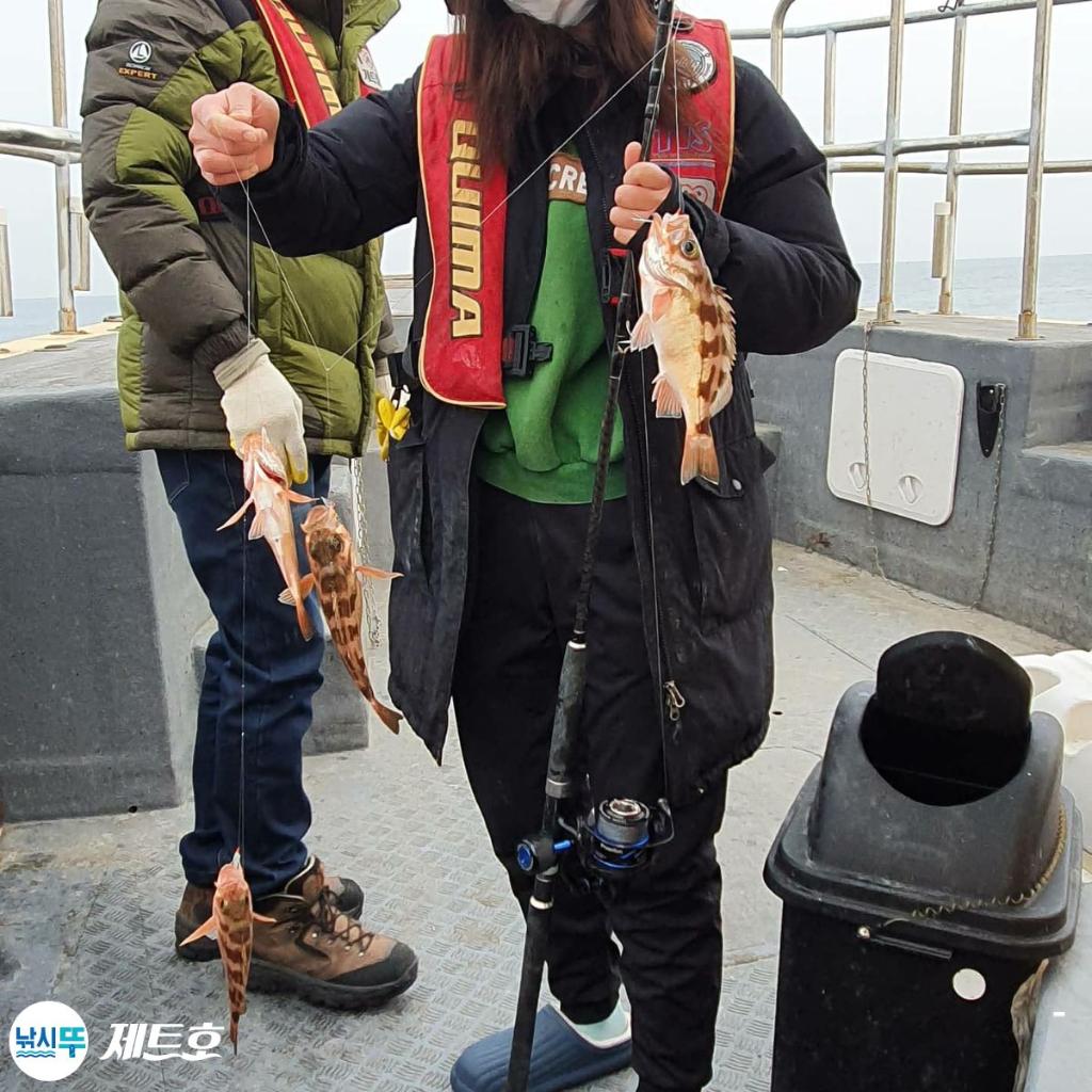낚시뚜,볼락,열기,영일만항,포항 제트호,낚시뚜8
