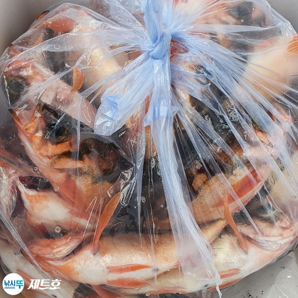 낚시뚜,볼락,열기,영일만항,포항 제트호,낚시뚜7