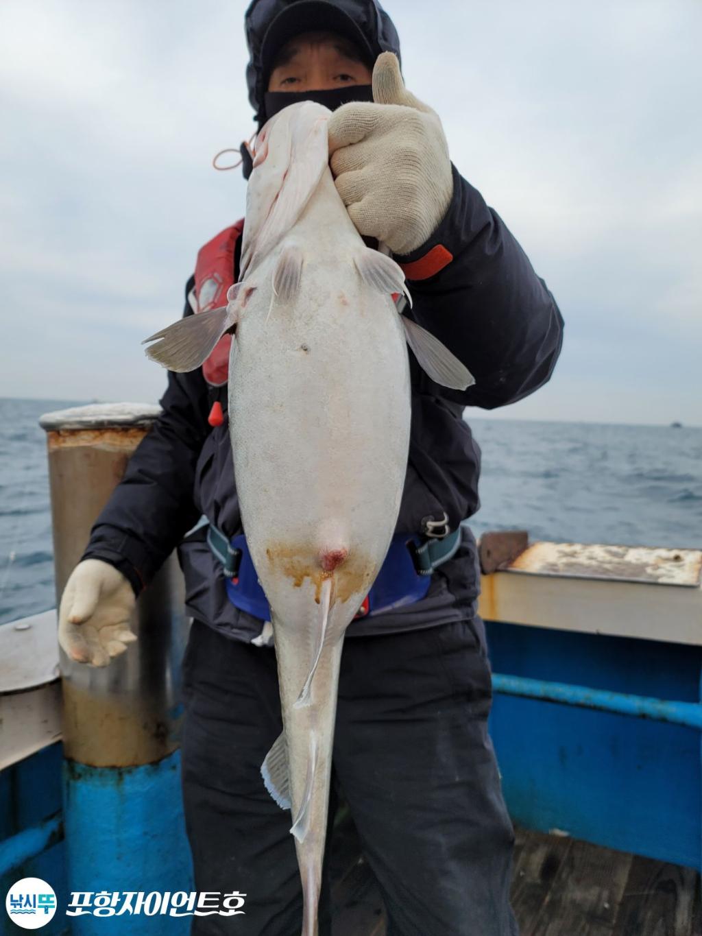 낚시뚜,대구,포항 발산항,포항자이언트호,낚시뚜2