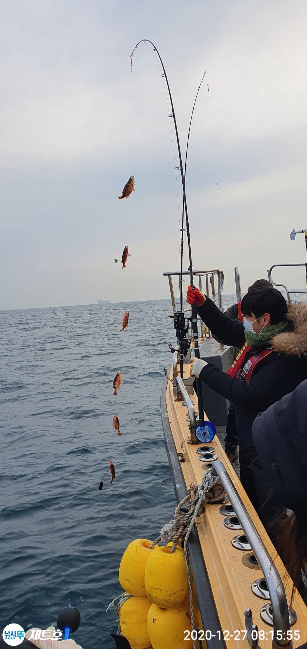낚시뚜,볼락,열기,영일만항,포항 제트호,낚시뚜3