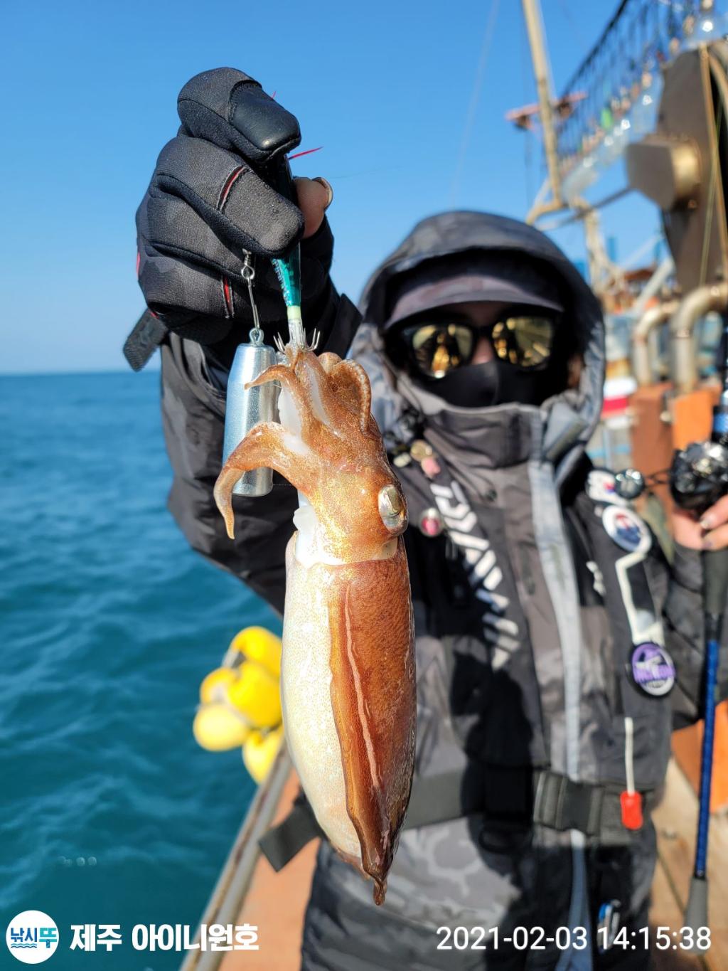 낚시뚜,갑오징어,제주 신창항,제주 아이니원호,낚시뚜5