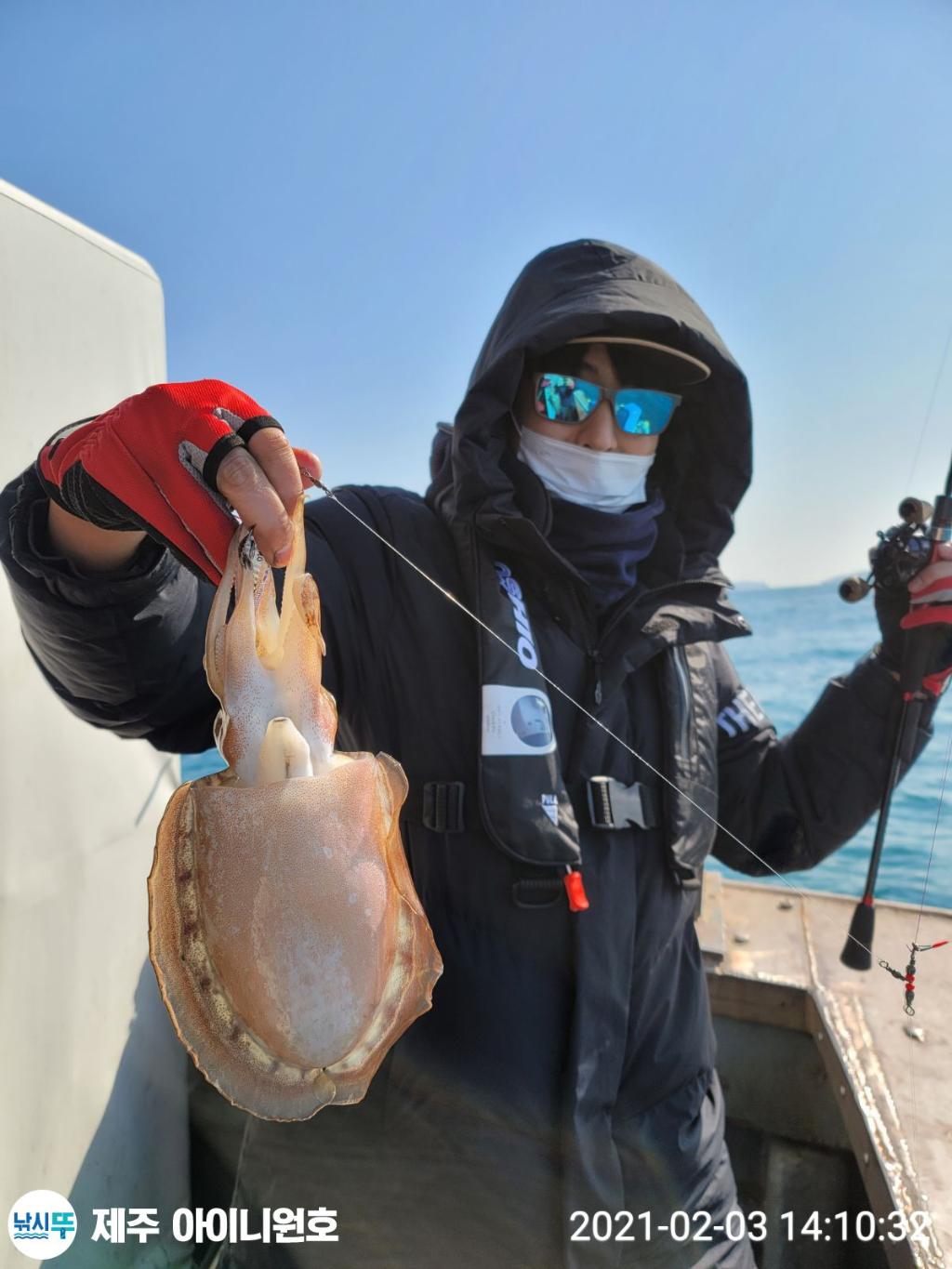 낚시뚜,갑오징어,제주 신창항,제주 아이니원호,낚시뚜4