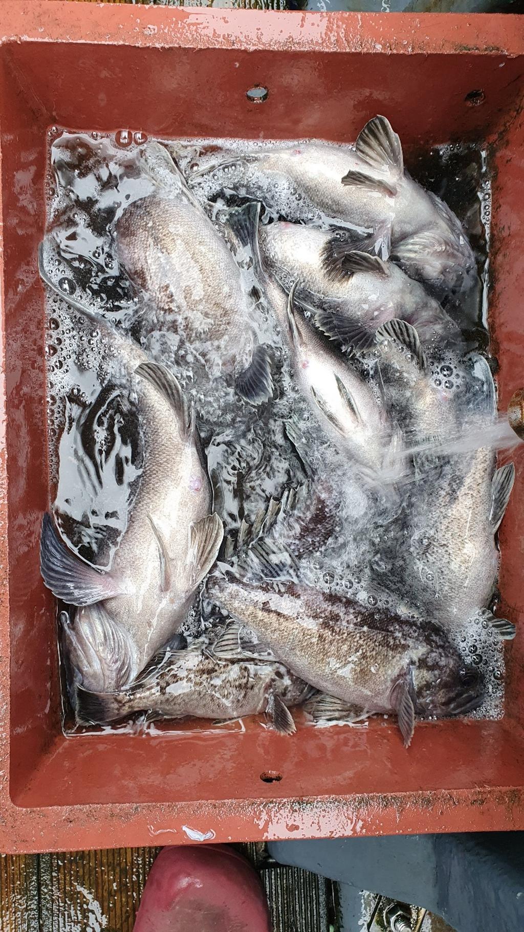 F1250959O6.jpg