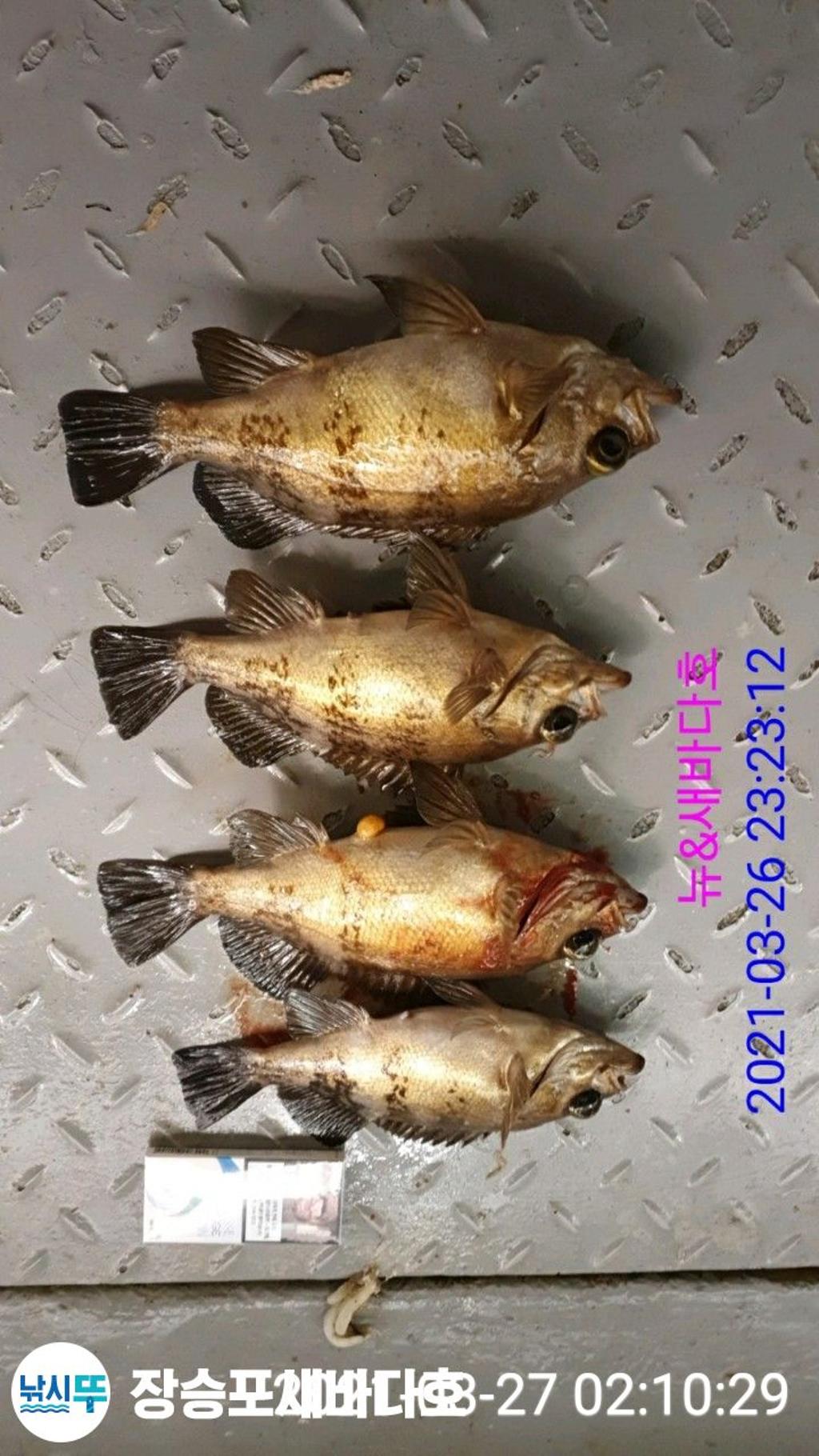 F1256642FD.jpg