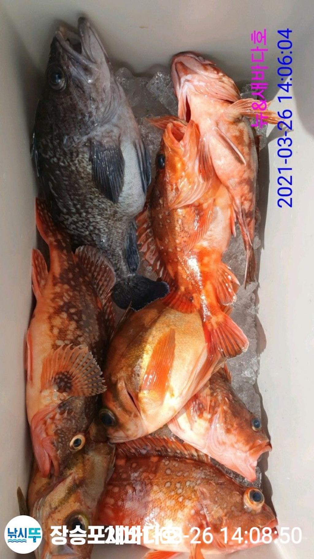 F1256664E5.jpg