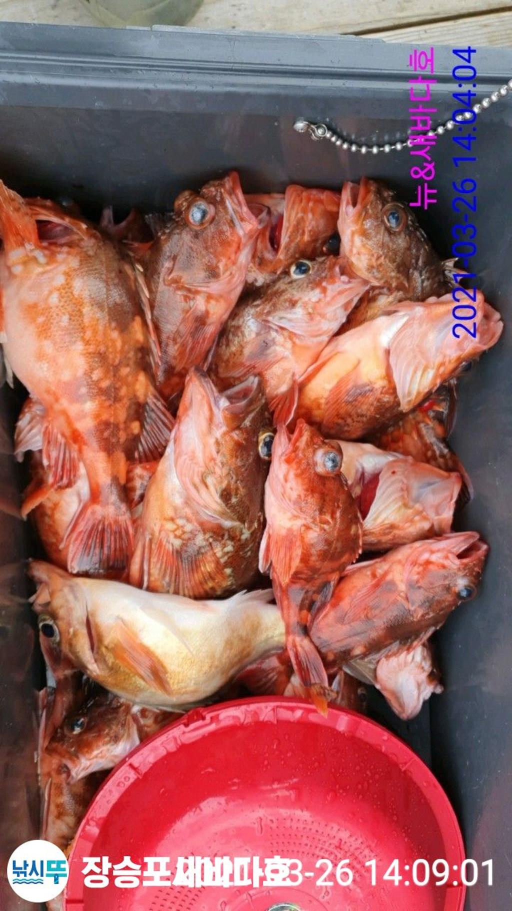 F1256666Z5.jpg