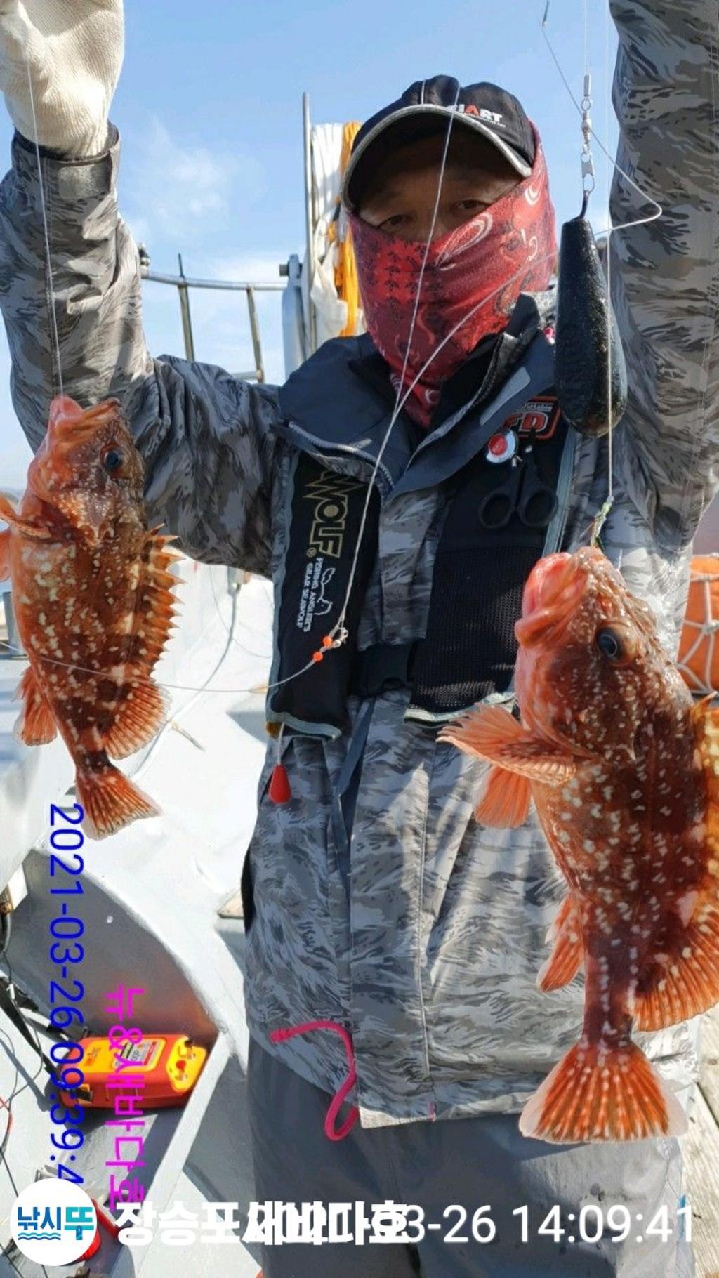 F1256675QA.jpg