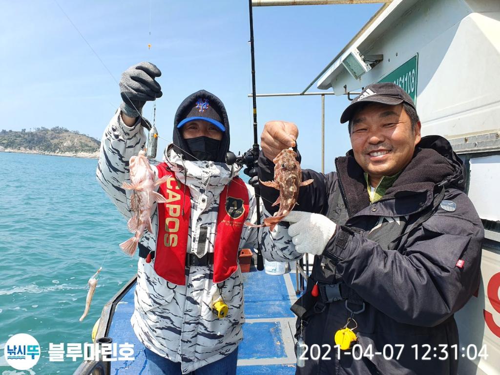 낚시뚜,볼락,열기,쏨뱅이,회진항,회진 블루마린,낚시뚜1