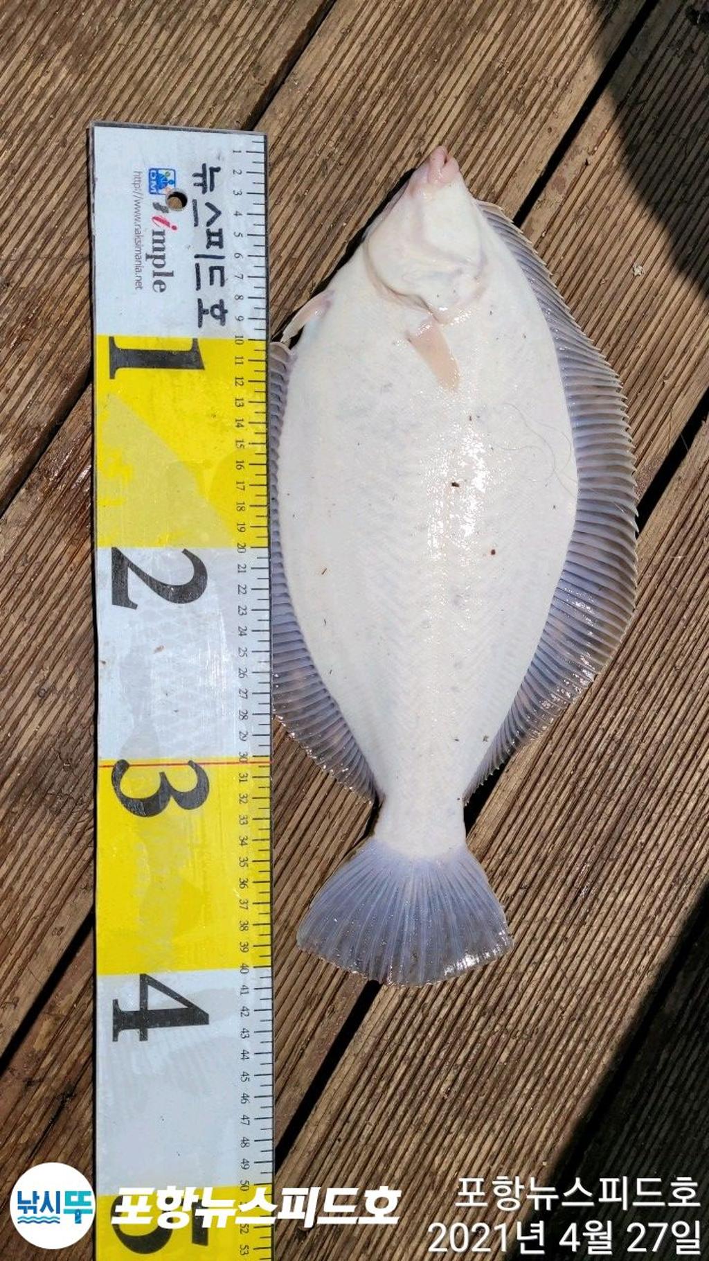 F1277694V5.jpg