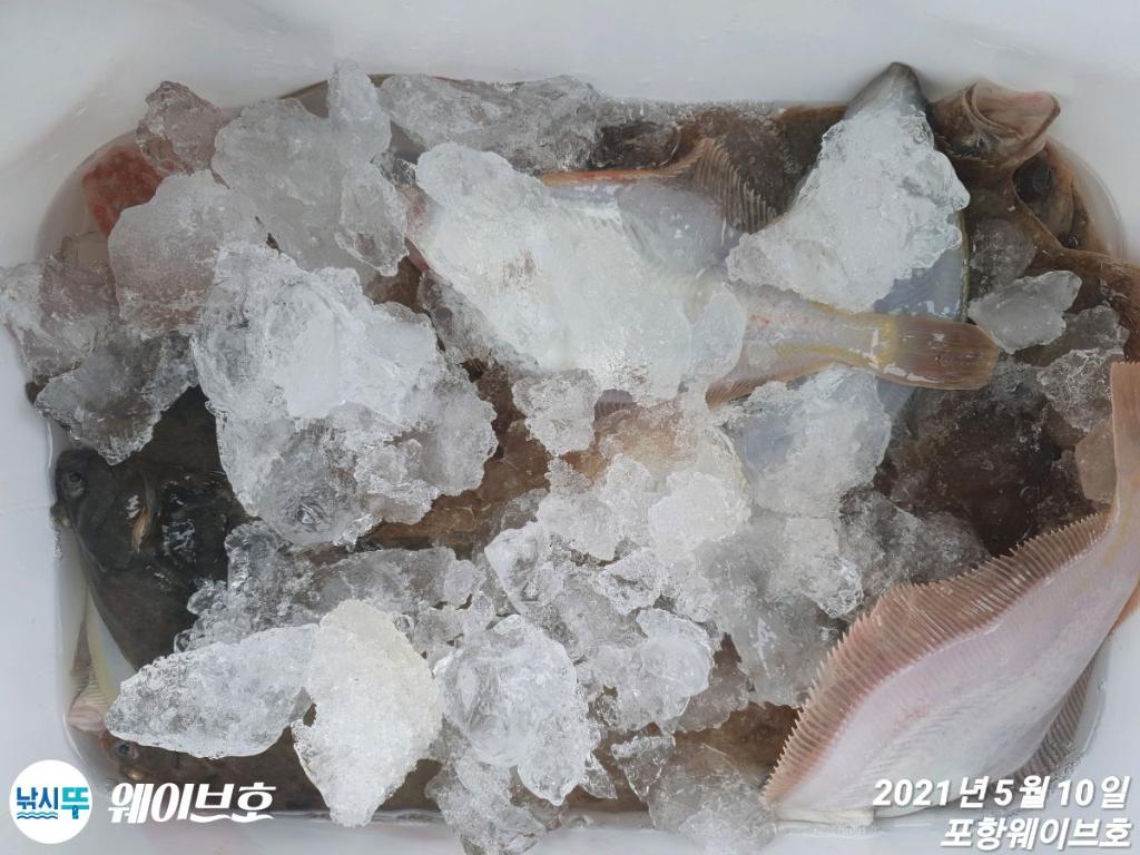 F12880325F.jpg