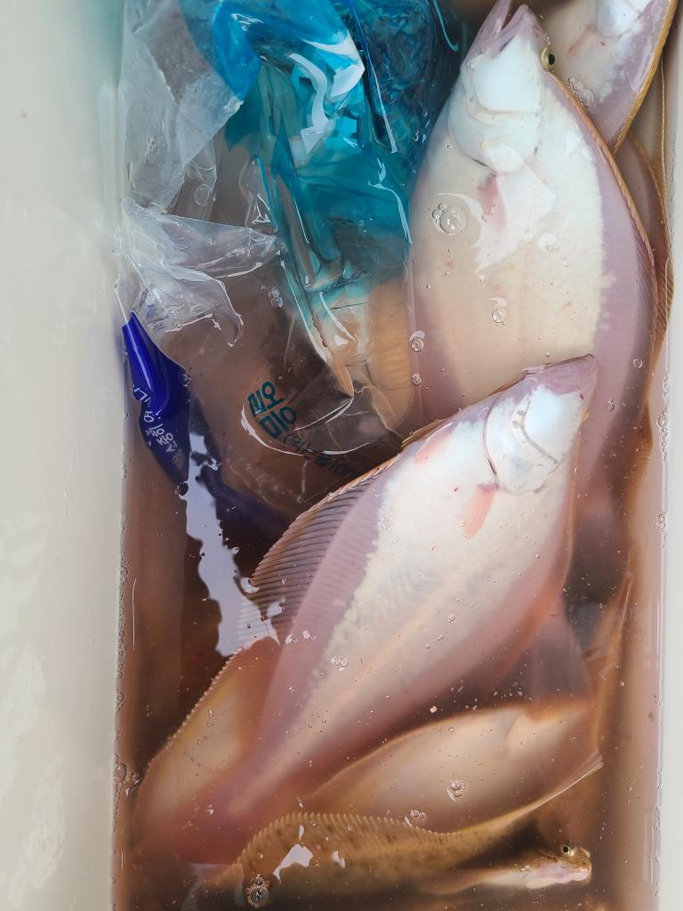 F1293271MX.jpg