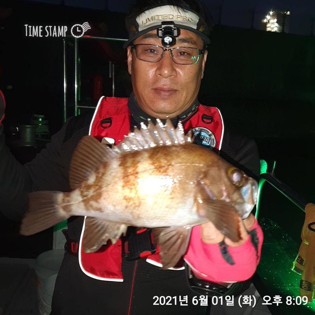 낚시뚜,볼락,포항(운하관),포항 동해피싱호,낚시뚜5