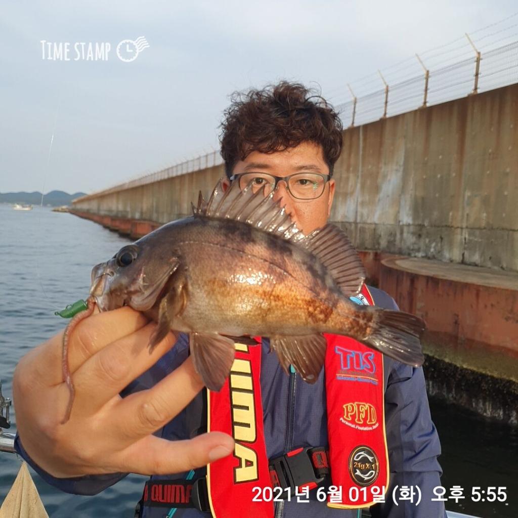낚시뚜,볼락,포항(운하관),포항 동해피싱호,낚시뚜3