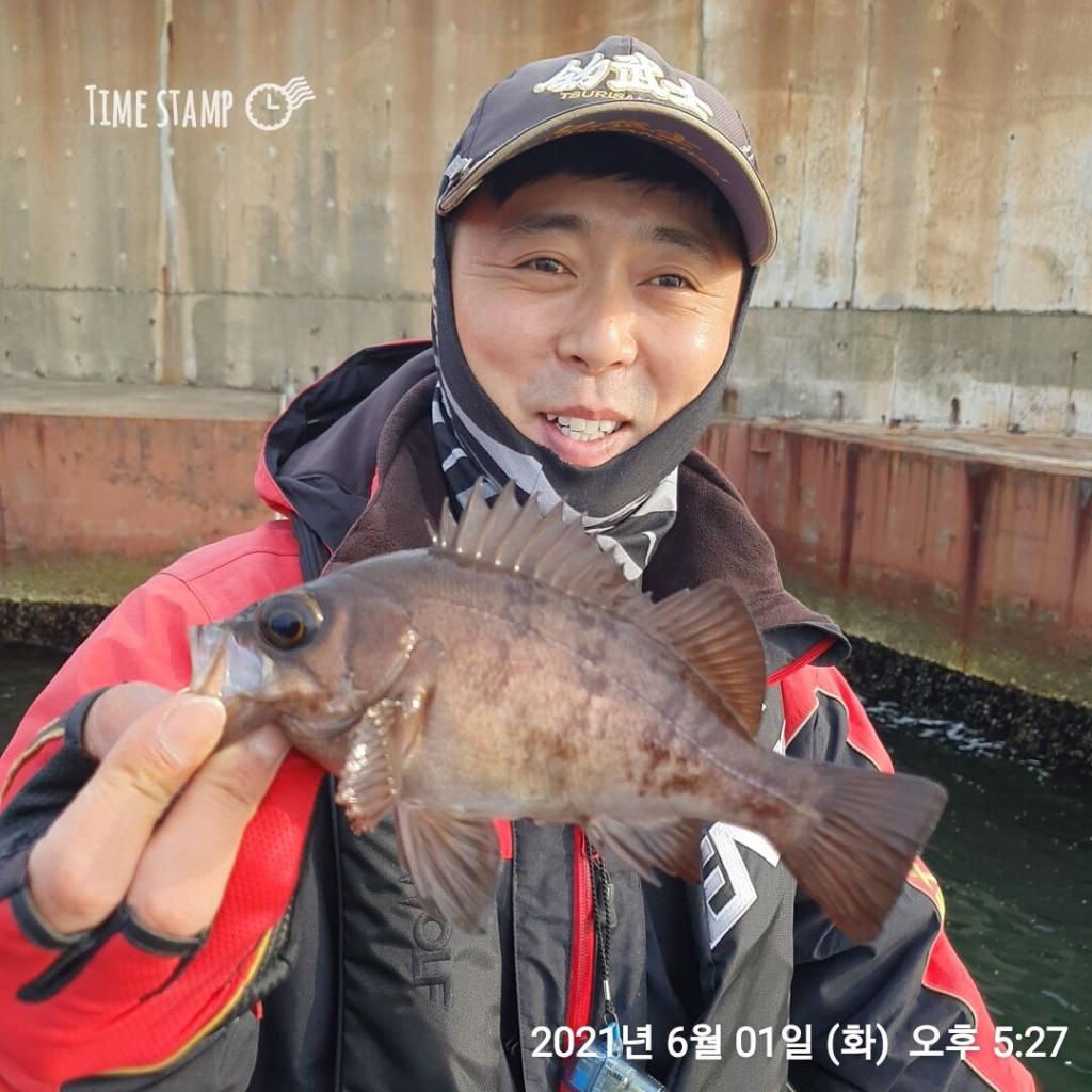 낚시뚜,볼락,포항(운하관),포항 동해피싱호,낚시뚜1