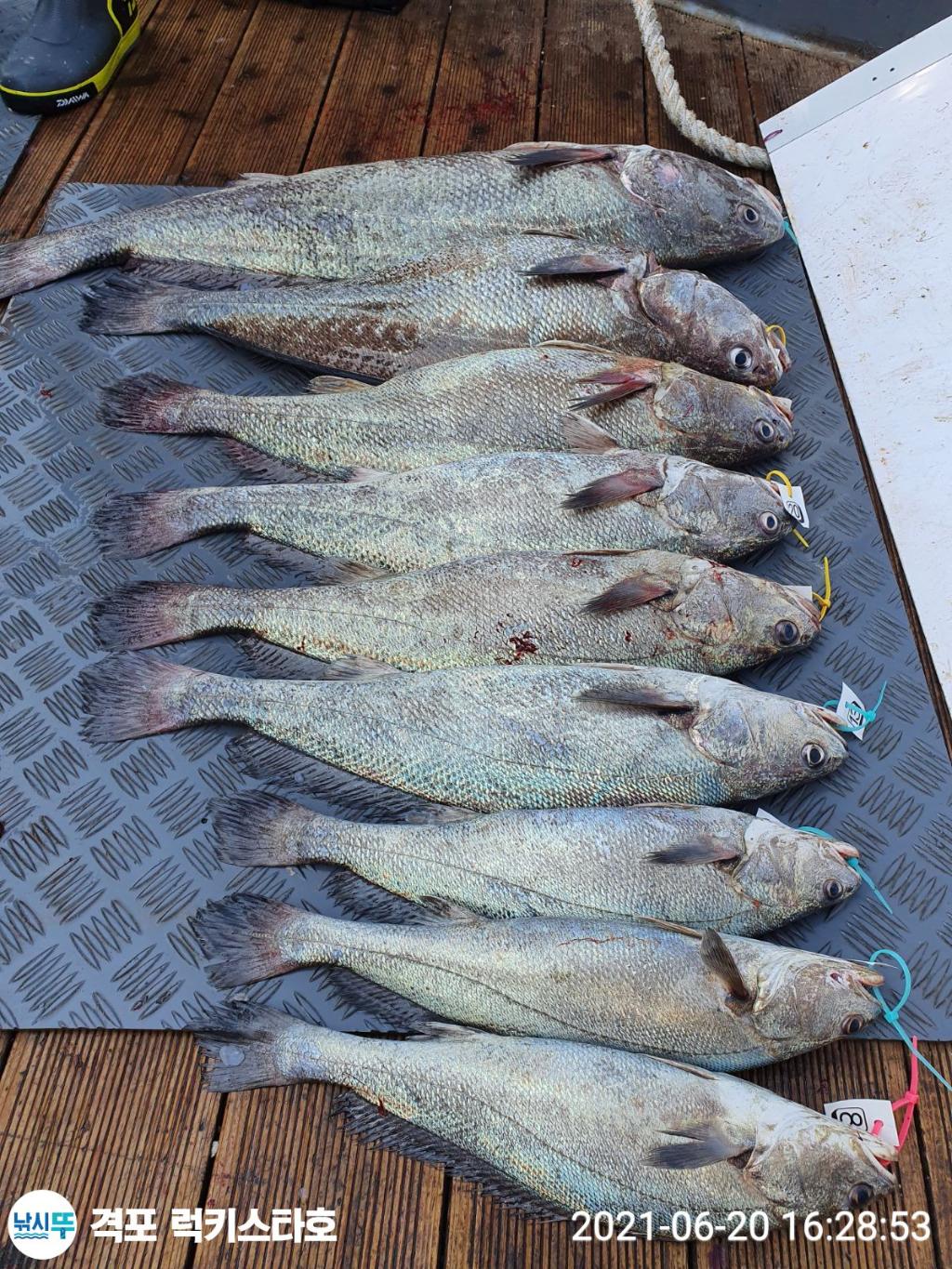 F13394845W.jpg