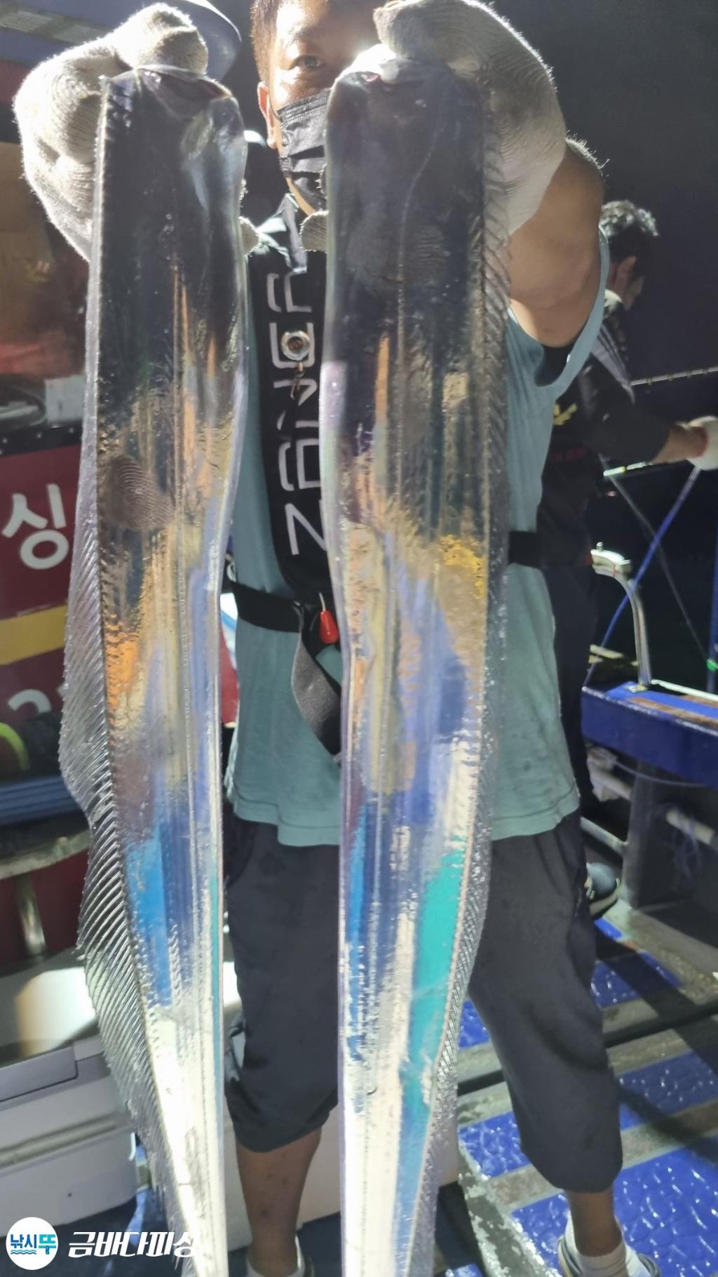 (南)남해조황 - 준내만갈치ㆍ3지4지5지 퍼담고 쓸어담고...