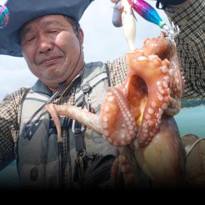 조황
