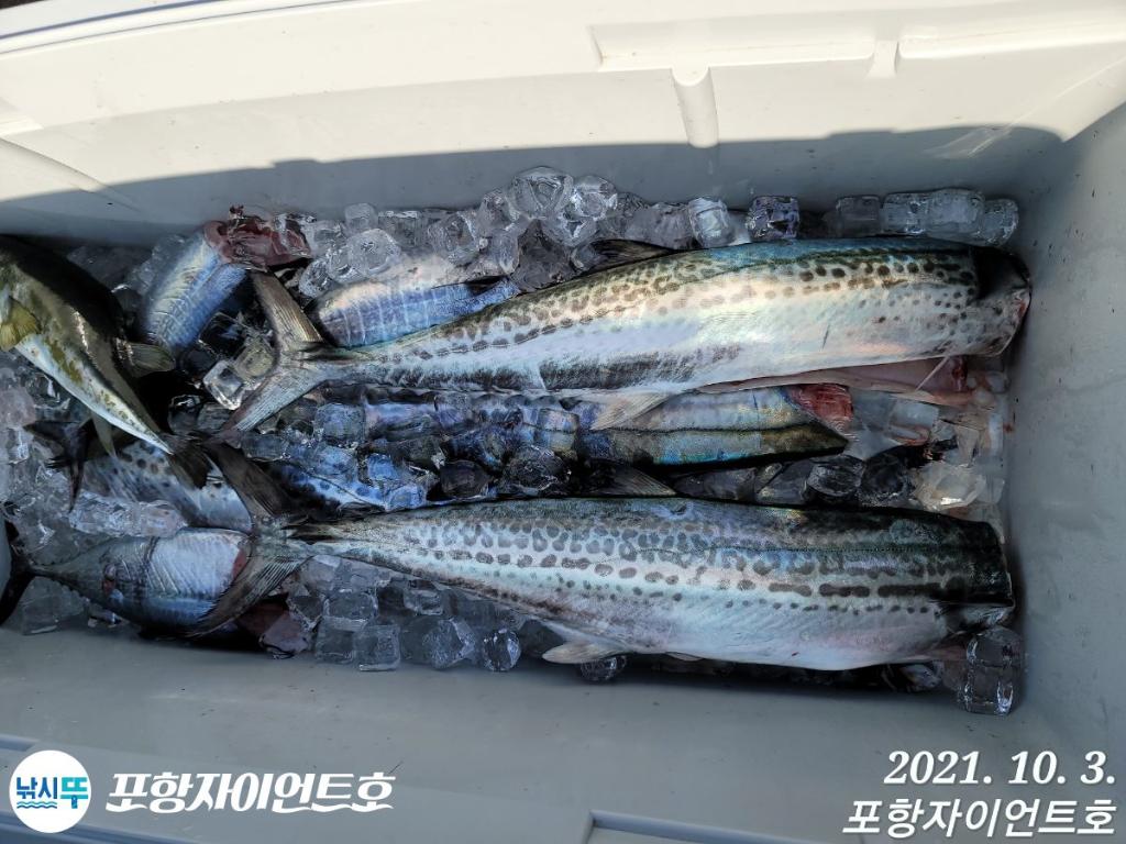 F14816345W.jpg