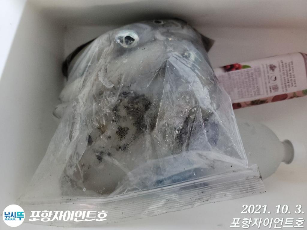 F14826539T.jpg