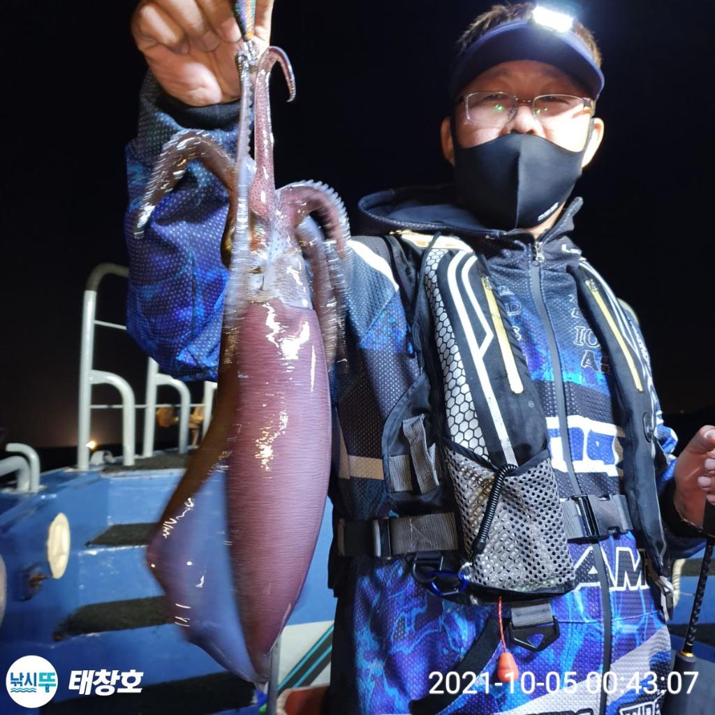 F1485291YD.jpg