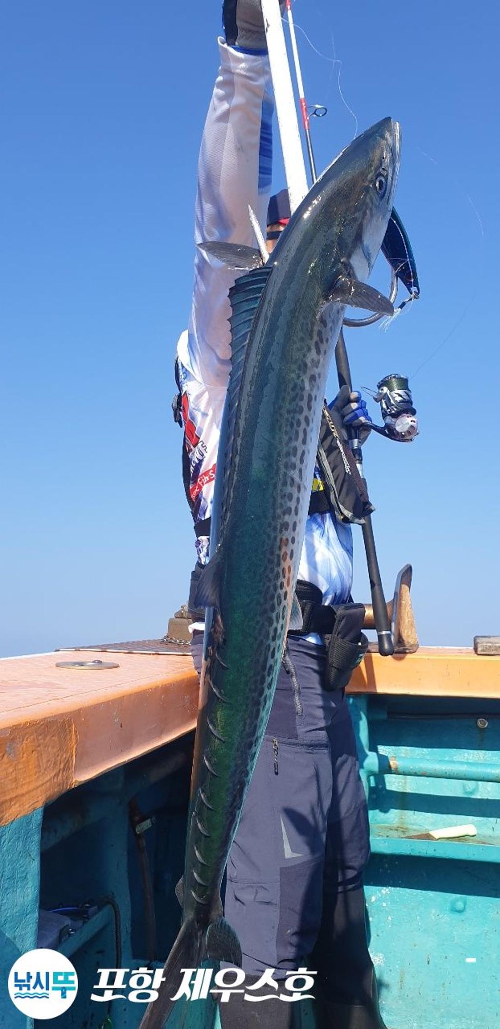 F14960242I.jpg