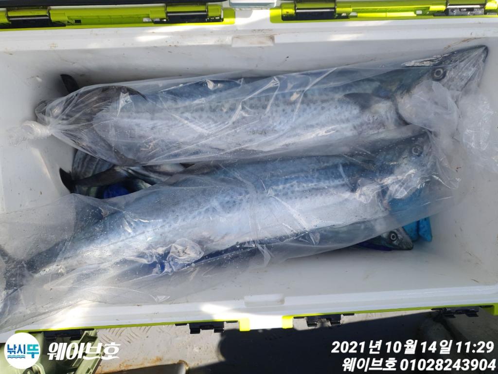 F14971380T.jpg