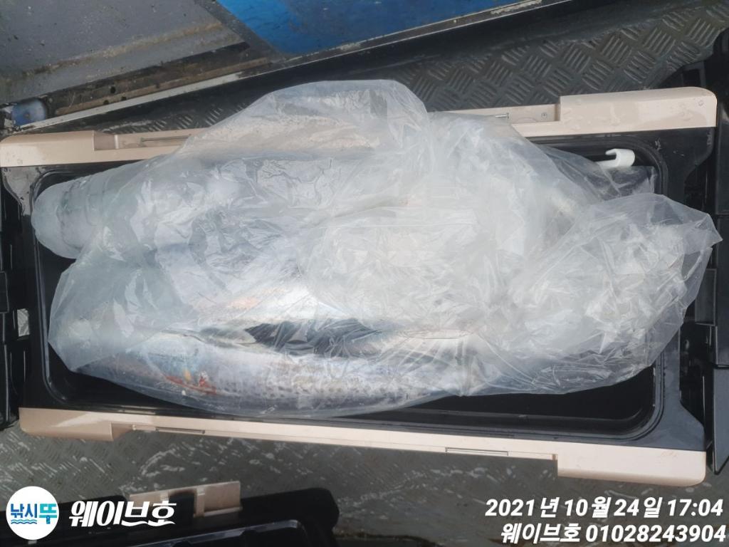 F1508860QF.jpg