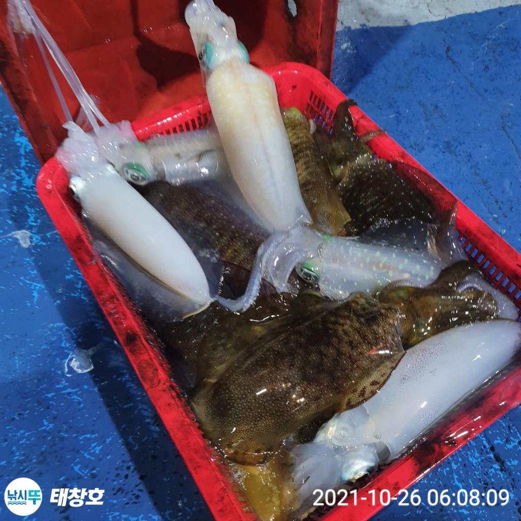 F1511470F1.jpg