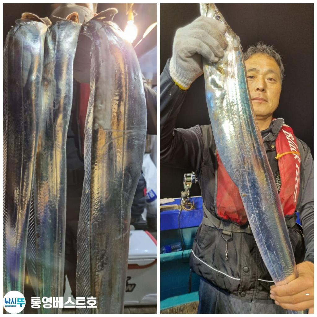 낚시뚜,갈치,풍화중부마을,통영 베스트호,낚시뚜7