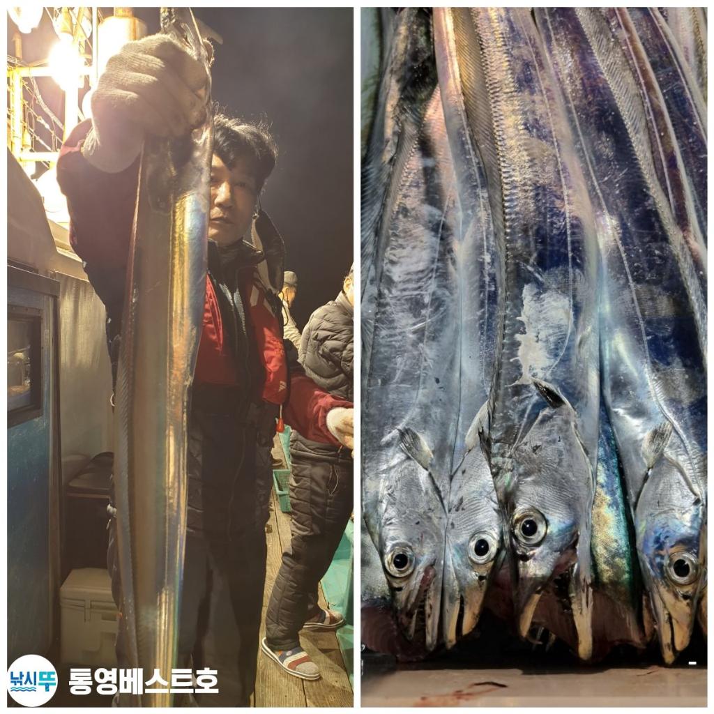 낚시뚜,갈치,풍화중부마을,통영 베스트호,낚시뚜1